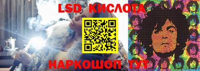 крисы Шахты