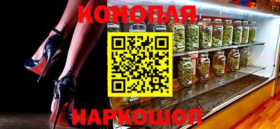 крисы Шахты