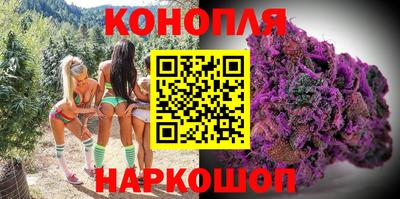 крисы Шахты