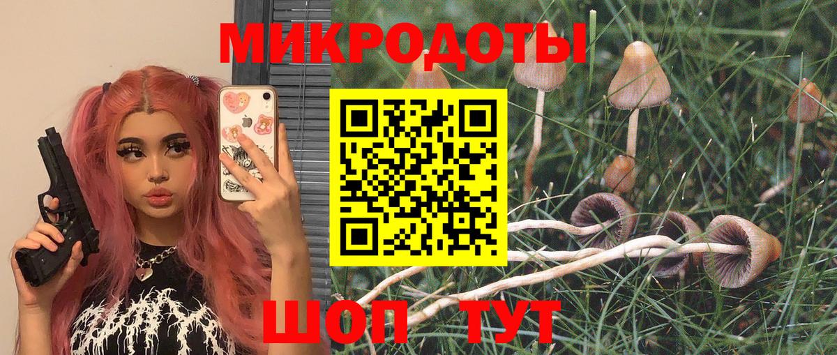 Галлюциногенные грибы ЛСД Сосновоборск