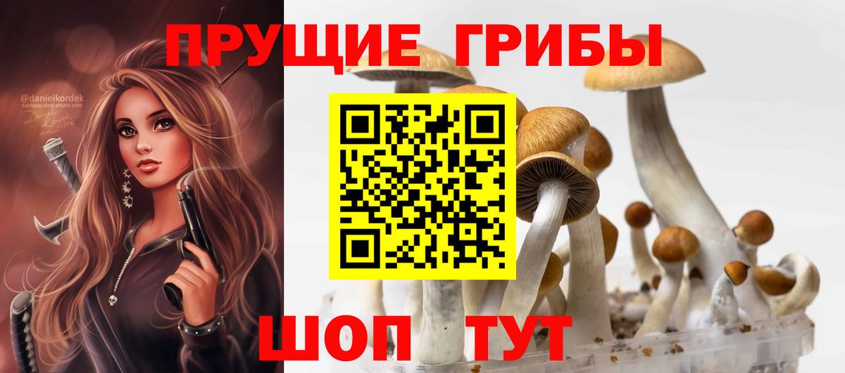 Галлюциногенные грибы прущие грибы  Вход с VPN  наркота  Сосновоборск 
